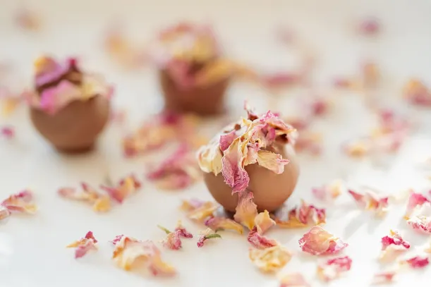 لوتو كينغز كازينو تطبيق أندرويد/آي أو إس